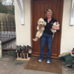 Jessicas Pet Care Dog Home Boarding Chew Valley