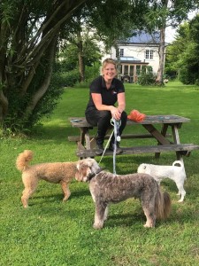 Jessicas Pet Care Cottage Garden Dog Day Care