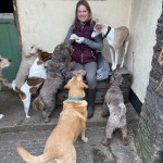 Jessicas Pet Care Dog Day Care