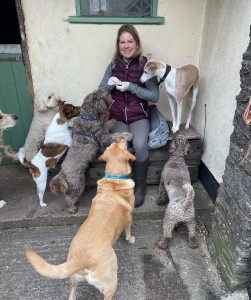 Jessicas Pet Care Dog Day Care